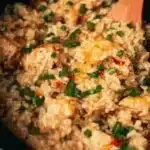 crock pot chicken and rice 2025 11 17 040220 150x150 1