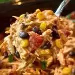 Crock Pot Fiesta Chicken 3 crock pot fiesta chicken 2025 11 25 041647 150x150 1
