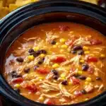 crockpot chicken tortilla soup 2026 01 14 234127 819x1024 1